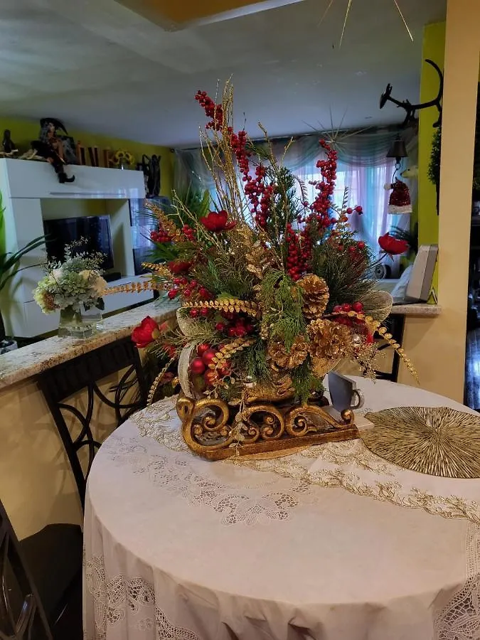 Joy'S Country Home New York Homestay